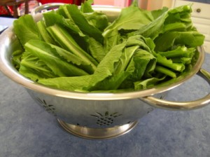 Crack the Iceberg Habit: 10 Green Leafy Veggies you’ll Love, www.b12patch.com