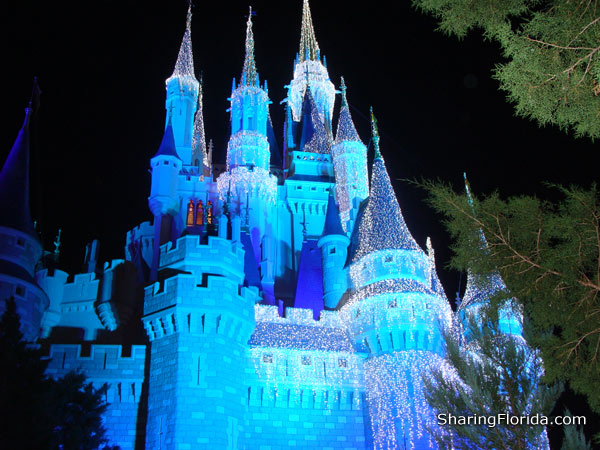 walt disney world castle at night. Disneyland and Disney World