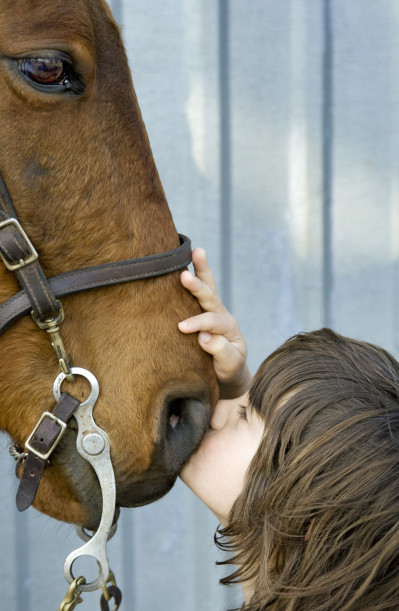 SPECIAL NEEDS FOR SPECIAL PETS: ANIMAL THERAPY SUCCESS STORIES, WWW.B12PATCH.COM