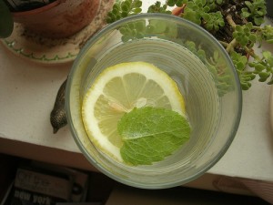 12 WAYS TO FLAVOR YOUR DRINKING WATER WITHOUT REFINED SUGAR,WWW.B12PATCH.COM