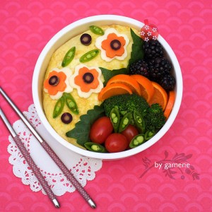 GLUTEN-FREE BENTO BOXED LUNCHES FOR CELIAC DIETING, PART 1, WWW.B12PATCH.COM