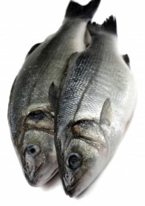 THE MANY BENEFITS OF VITAMIN B12…CANCER PREVENTION? WWW.B12PATCH.COM