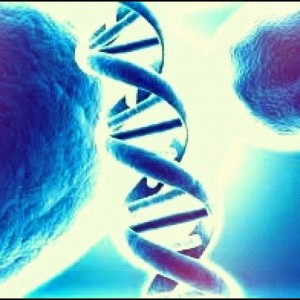 Vitamin B12 deficiency in your DNA JUVENILE VITAMIN B12 DEFICIENCY- THE DINOSAUR OF ALL DISORDERS, SAY SCIENTISTS, WWW.B12PATCH.COM