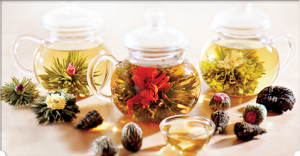 Numi Flowering Tea Top Ten Holiday Gifts for IBD Sufferers